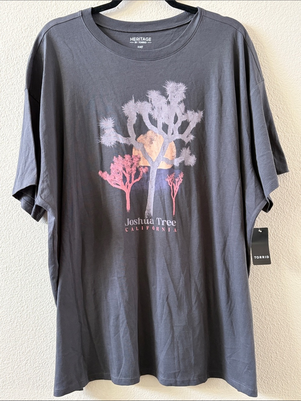 torrid Gray Joshua Tree Graphic Heritage Tee